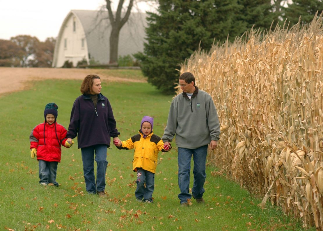 man and woman walking with two children next to a cornfield